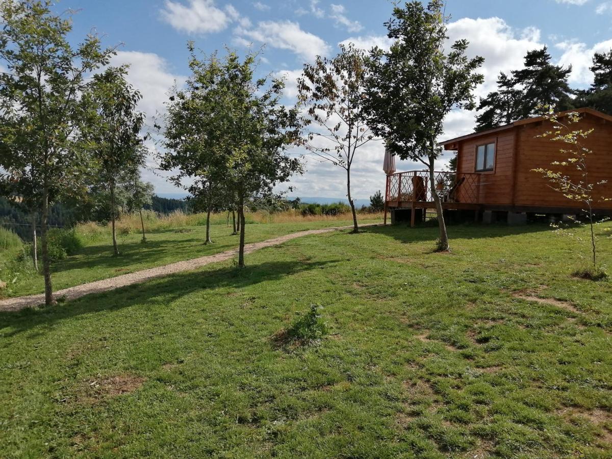 Le Chalet Des Etoiles Champagnac-le-Vieux Экстерьер фото